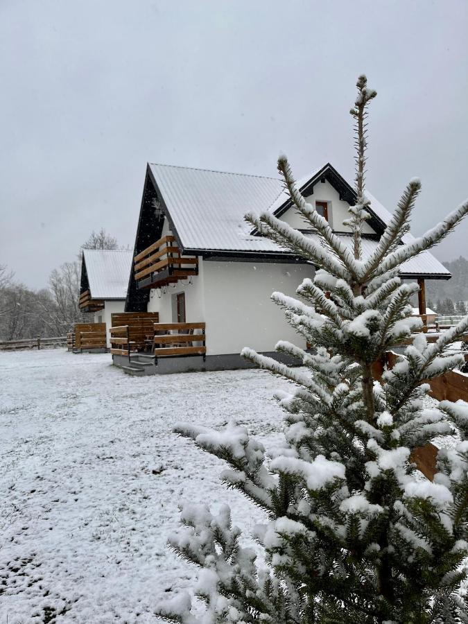 Holiday home Zagroda Wypoczynkowa- Nad Rzeka