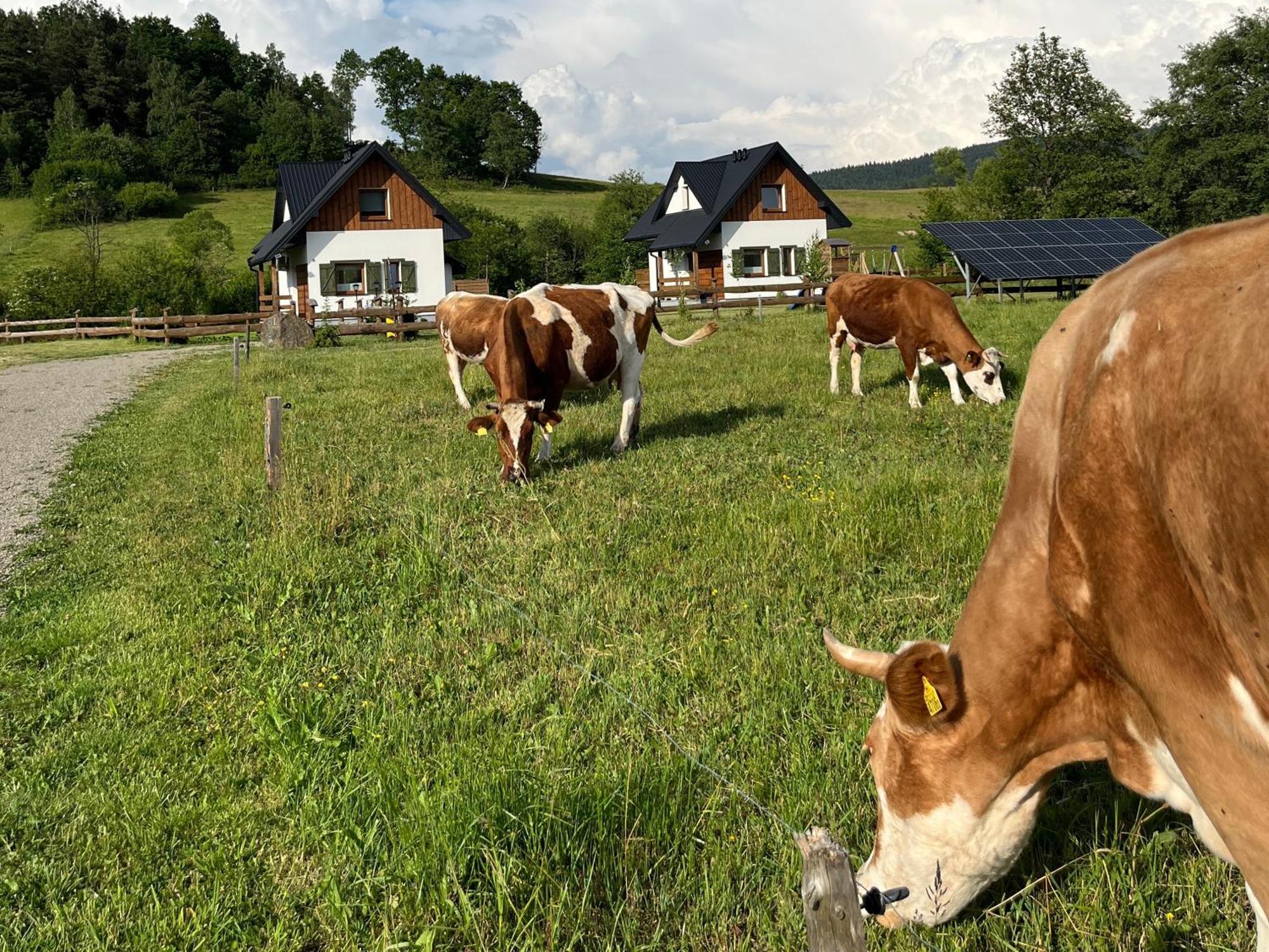 Zagroda Wypoczynkowa- Nad Rzeka Holiday home *